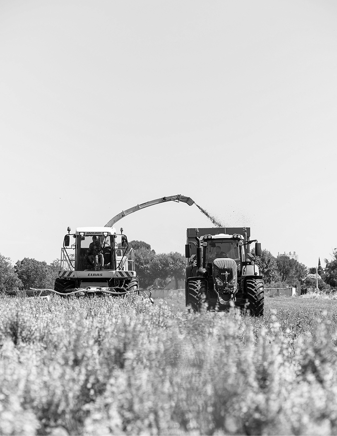 Argeville-La-Laupie©CRESPEAU-1289