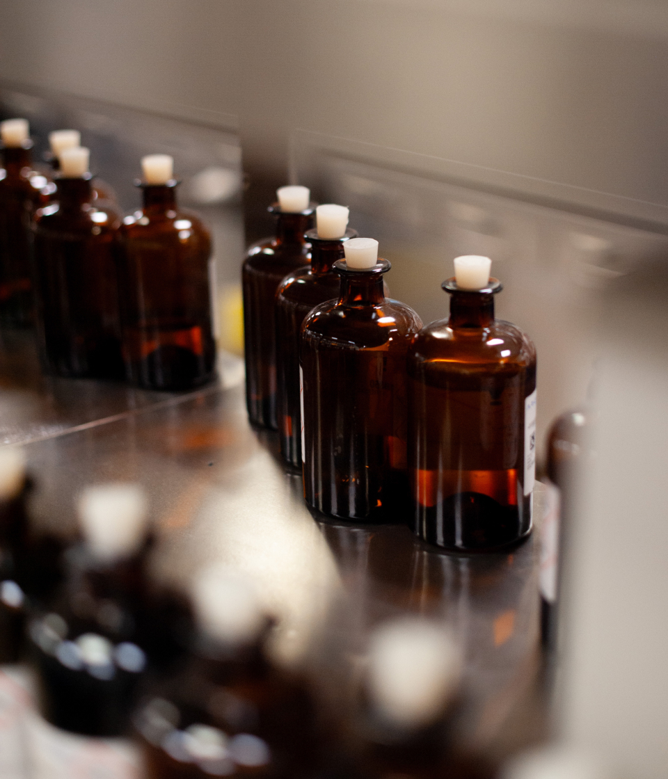 Argeville NOV_0748 Groupe