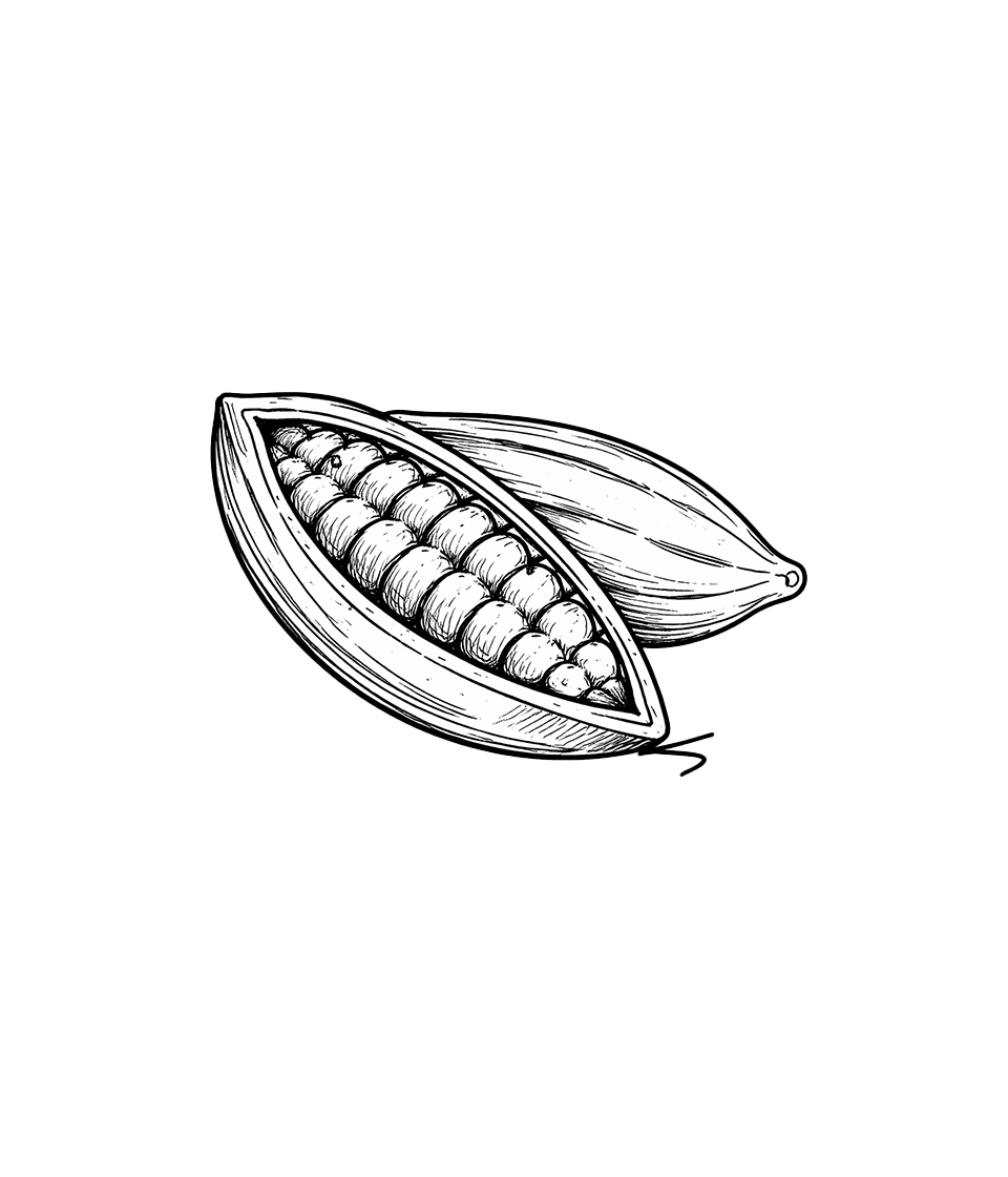 illustration_aromes_ret